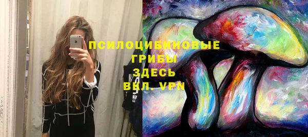 дурь Володарск