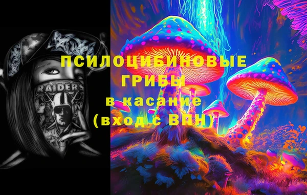 дурь Володарск