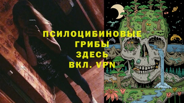 дурь Володарск