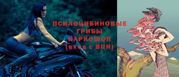 дурь Володарск